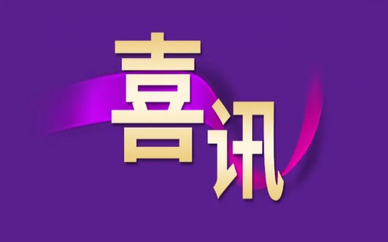 勁升16位！榮程集團(tuán)躍居中國(guó)企業(yè)500強(qiáng)第240位