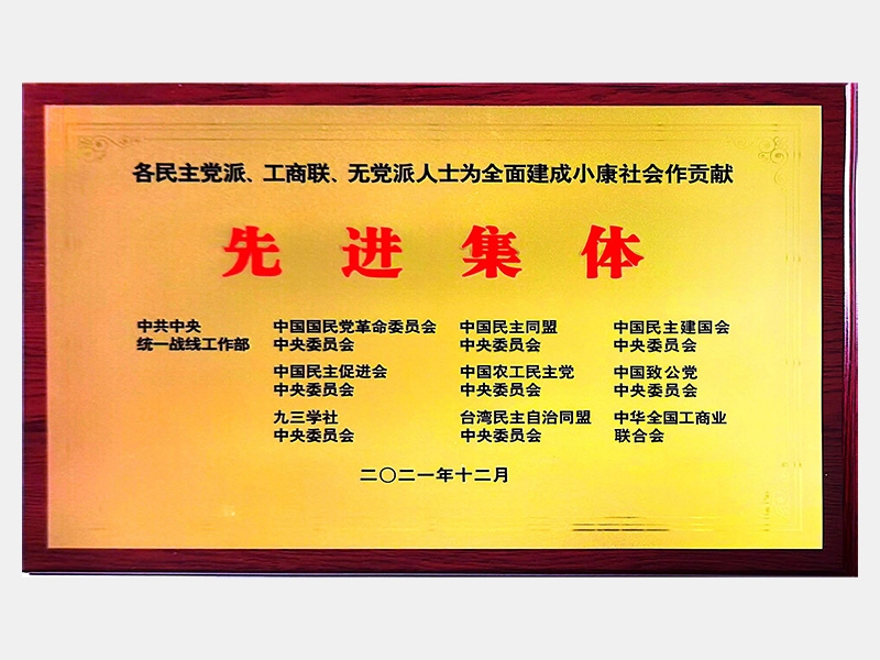 各民主黨派、工商聯(lián)、無黨派人士為全面建成小康社會作貢獻先進集體